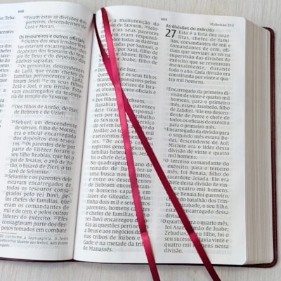 image_9021a205-5061-48bf-9f0d-27f86a755faf