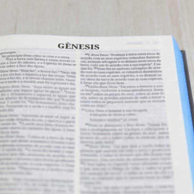 image_7a1092d4-383f-40d5-abfb-804e5cdb9141