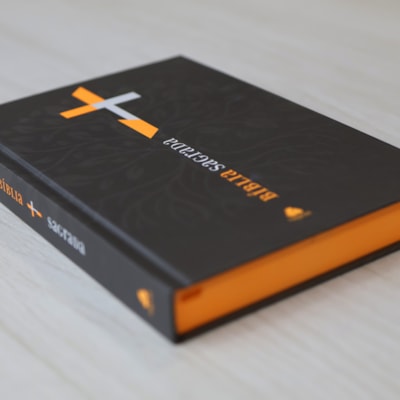 image_96d272b5-c350-4ab0-a04b-29e3dba9d87c