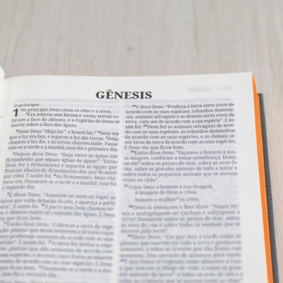 image_5cf56d8c-6a69-4b2e-816c-04993813493f