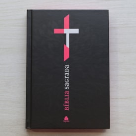 Segunda imagem do produto Bíblia Sagrada | NVI | Neon Rosa| Capa Dura