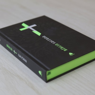 image_42cc8a7c-cb1b-4021-93e2-4f0eb669011a