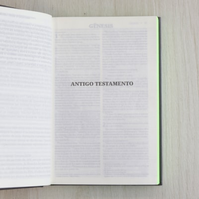 image_995d56c4-172d-4701-8253-afa4a7b12e92