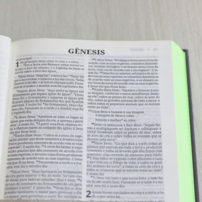 image_0253a380-b4dd-4caf-9971-be48744d27c7