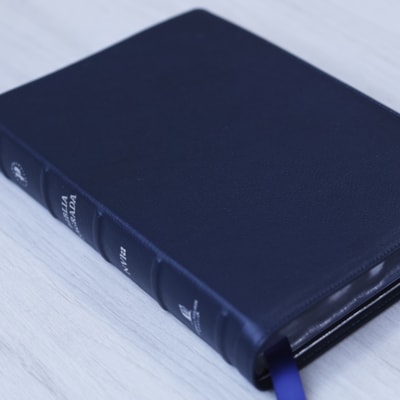 image_f50ad371-00db-42d8-952a-62776f6754a7