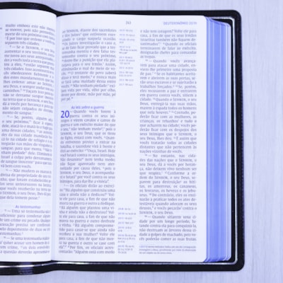 image_783569b8-13ad-41a0-9ec1-7bea7634b1df