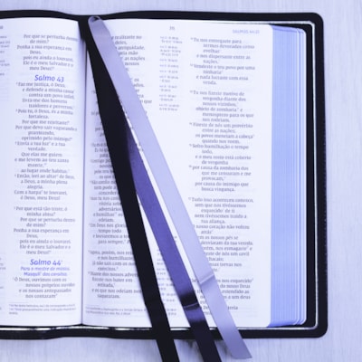 image_79f8c9e2-3790-4630-a699-ad2ade05fbc8