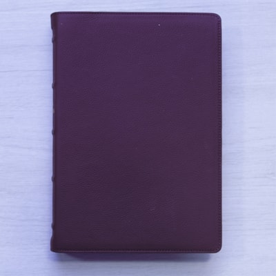 image_f8870504-f595-41cb-8f23-9eaccd0b698e