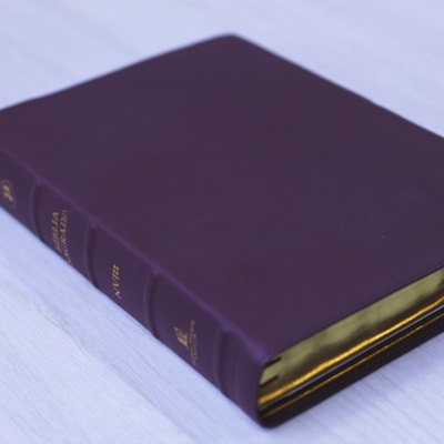 image_7c63343c-c4fd-4dc2-a9d2-93783e4cd03c