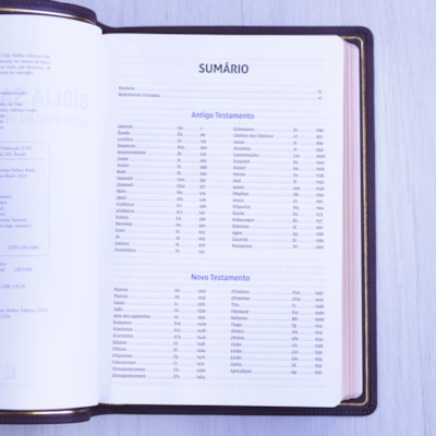 image_95c09826-7bd5-4d11-9710-c3156b927dd2