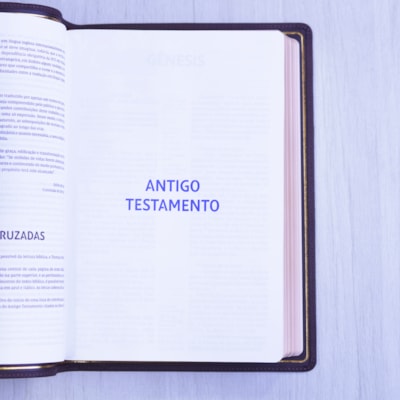 image_ebd7756c-6178-4db2-ae1a-acc955164f8d