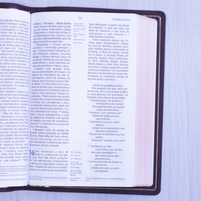 image_3789d179-e59b-4636-8569-eb9f0d255d37