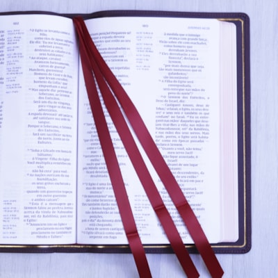 image_6368e86a-3e51-473f-ab77-5d60f2b6aea2