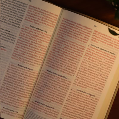 image_1b6d5e9e-d643-440d-94dc-c12ce3a1e3d4