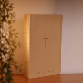 Segunda imagem do produto Bíblia Sagrada | NVT | Letra Gigante | Bege