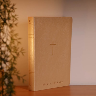 image_39708abc-2324-4e69-b963-81e7d3399aff