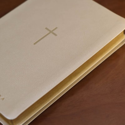 image_7bc22d6c-9577-4aeb-839e-c1206d5b93f2