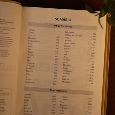 image_57981df2-c044-4c30-8921-ba62b54e3ca1