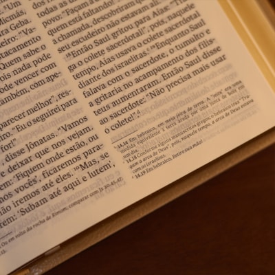 image_849c16ef-f96a-4550-8c8a-60ad5844a36b