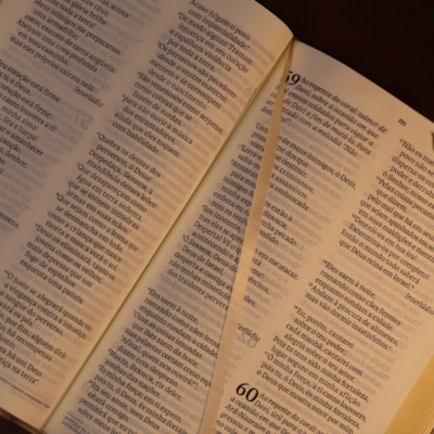 image_136e2a51-8824-4c31-8350-ecdd7563fd3f