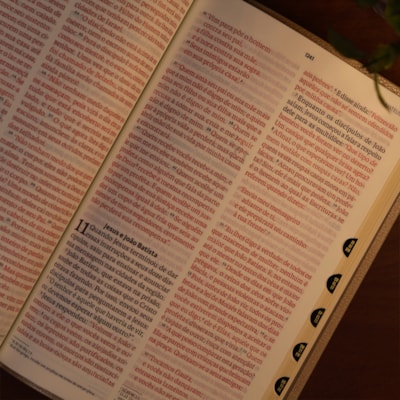 image_9e56b1be-71dc-43ad-8d2d-0ef459c639ce