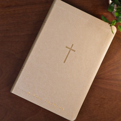 image_8fe56e98-4861-4d4a-b72b-96faaf0de994