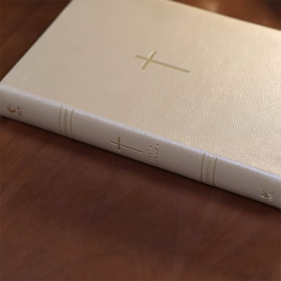 image_2d695f5e-43ea-4872-af58-512b4a7ca0a2