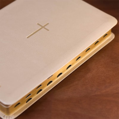 image_fc80f631-7550-45c0-afaa-f8b76e7cd6f2