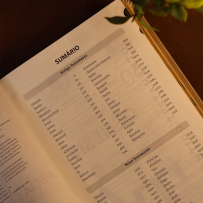 image_bfca15d9-9342-4bd6-8d6a-7f842ab95d7d