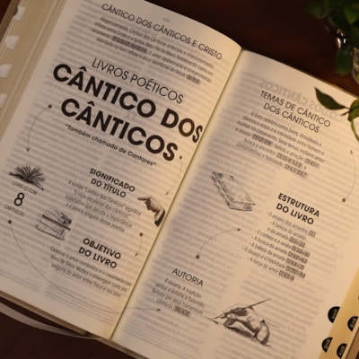 image_d60ac4b3-64bb-4919-9002-70a5a4f2be56