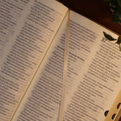 image_d27c5ac4-990c-4303-89d8-20beea171e5b