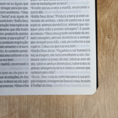 image_a551f4fc-094a-4982-a9a9-00934e07bdae