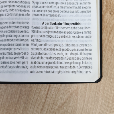 image_e8c03c0c-dac2-4ce8-ba54-5d61c8abfb2f