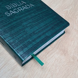 Bíblia Sagrada | NVT | Letra Gigante | Capa Luxo Verde