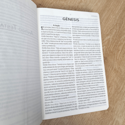 image_73231b19-e8b2-4512-a4a0-aeadb07243e1