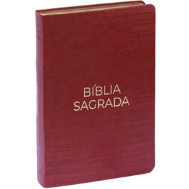 Bíblia Sagrada | NVT | Letra Gigante | Capa  Luxo Vermelha