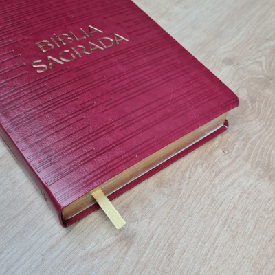 image_e62a6efa-36e2-47e9-90ab-0f3f4a2c2683