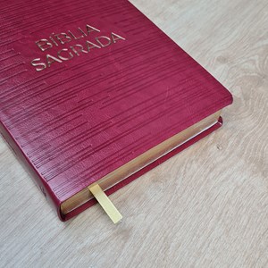 Bíblia Sagrada | NVT | Letra Gigante | Capa  Luxo Vermelha