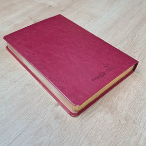 Bíblia Sagrada | NVT | Letra Gigante | Capa  Luxo Vermelha