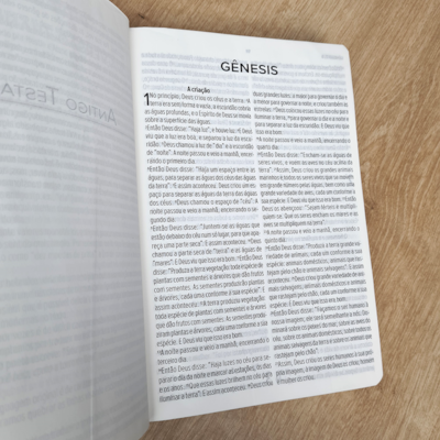 image_9d4dff83-f2f9-4d5a-b61a-202b9bd4ebc0