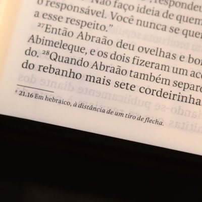 image_eae3a235-eabb-4f58-9928-07b8b8a3f610