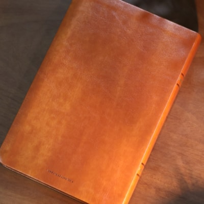 image_4ca23c35-0f97-4a35-a2fa-da4f5e56b031