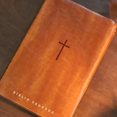 image_ea64d53b-d468-4952-a7db-ed22c749f4ba