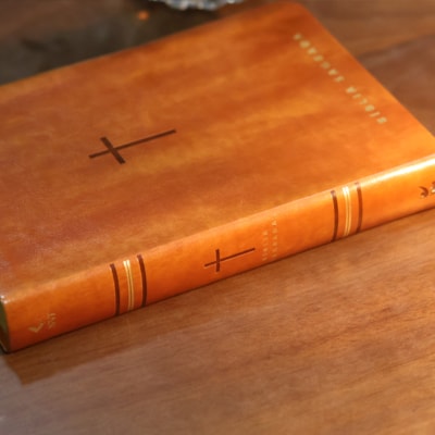 image_cdb8f16b-0fea-466e-a8da-8c74dafd987d