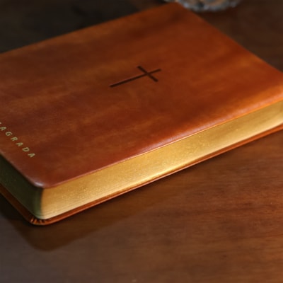 image_18556d98-7503-484a-913d-25ebf1d6e3fb