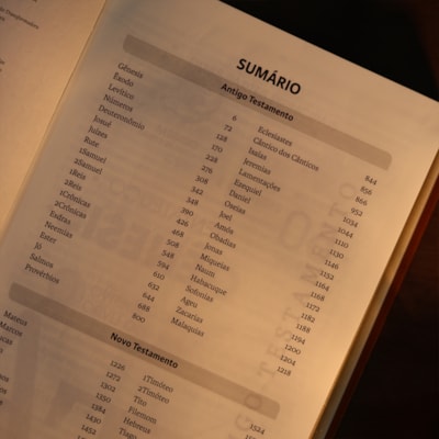 image_80edc8ab-170d-4745-b2b8-c3682ce5a538