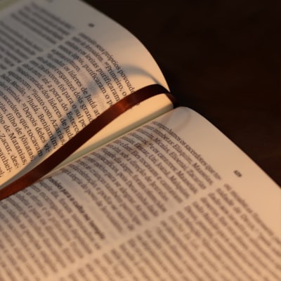 image_fb079221-2565-4359-88ce-1f4bd43276b4