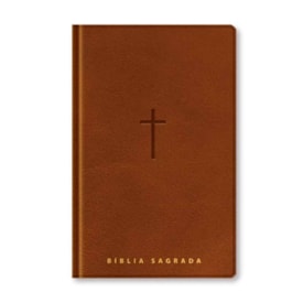 Bíblia Sagrada | NVT | Letra Gigante | Marrom Com Índice