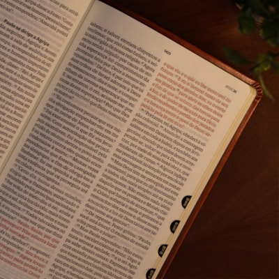 image_35cc66f9-9a35-4c38-b4ef-264c546a7240