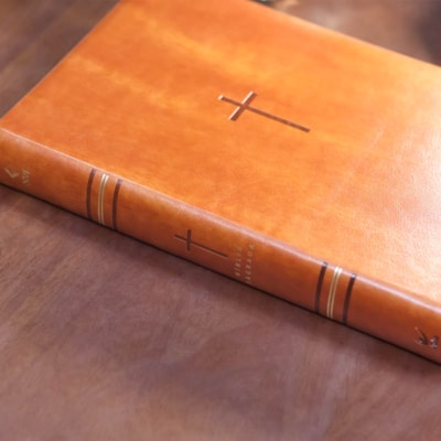 image_c0a36cbd-f522-4308-bdf7-06772bacbf2a